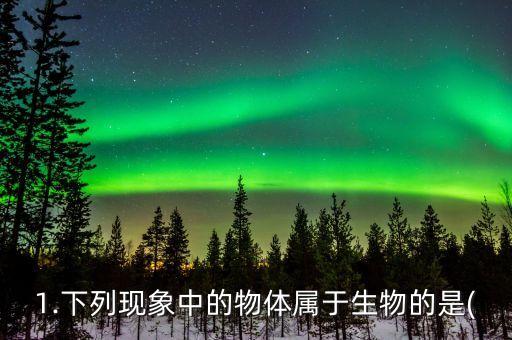 1.下列現(xiàn)象中的物體屬于生物的是(