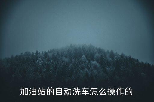 加油站的自動(dòng)洗車怎么操作的