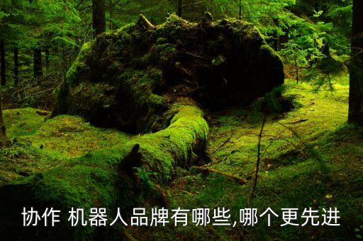 加拿大機器人,pc加拿大機器人