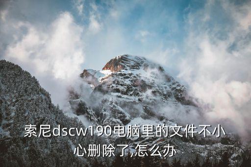 索尼dscw190電腦里的文件不小心刪除了,怎么辦