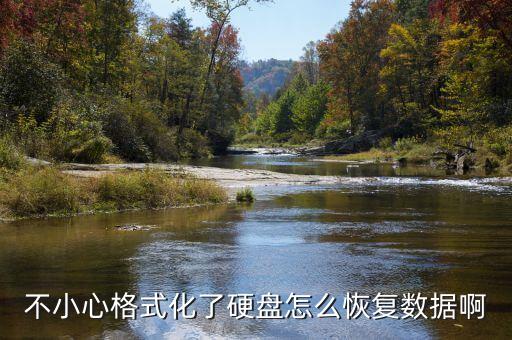 不小心格式化了硬盤怎么恢復(fù)數(shù)據(jù)啊