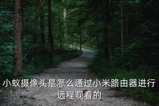 小蟻攝像頭是怎么通過小米路由器進(jìn)行遠(yuǎn)程觀看的
