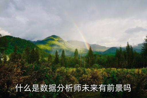 什么是數(shù)據(jù)分析師未來(lái)有前景嗎