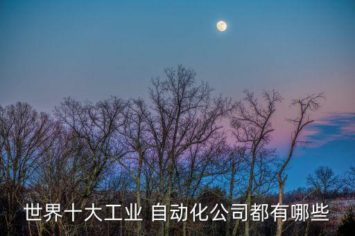世界十大工業(yè) 自動(dòng)化公司都有哪些