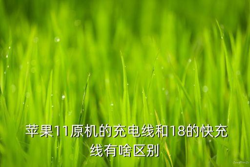 蘋果數(shù)據(jù)線長短區(qū)別,蘋果手表表帶長短的區(qū)別