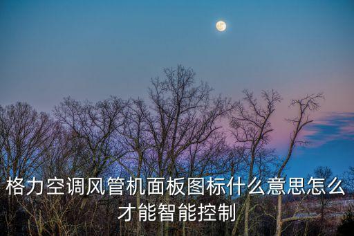 格力空調(diào)風(fēng)管機(jī)面板圖標(biāo)什么意思怎么才能智能控制
