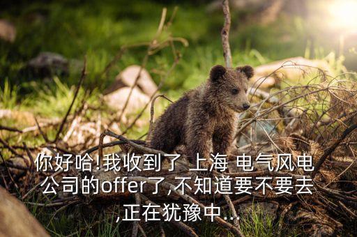 你好哈!我收到了 上海 電氣風(fēng)電 公司的offer了,不知道要不要去,正在猶豫中...