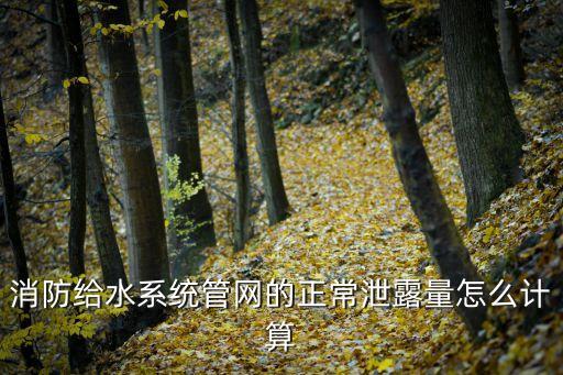 消防給水系統(tǒng)管網(wǎng)的正常泄露量怎么計算
