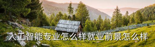 人工智能機(jī)器人方面的的薪水