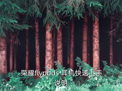  榮耀flypods 耳機(jī)快速上手說明