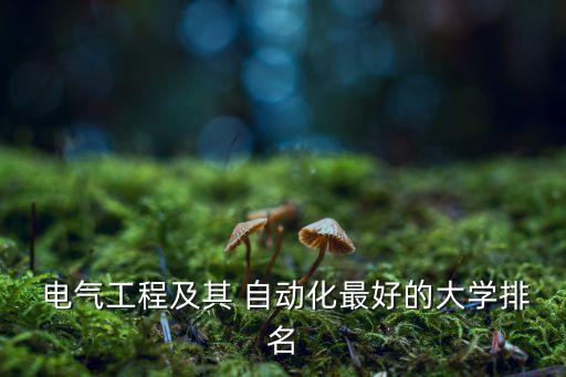  電氣工程及其 自動化最好的大學(xué)排名