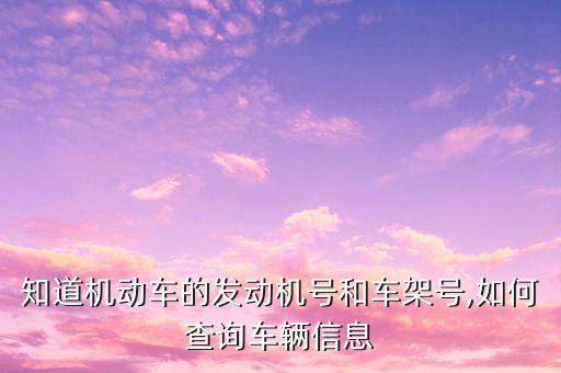 知道機動車的發(fā)動機號和車架號,如何查詢車輛信息