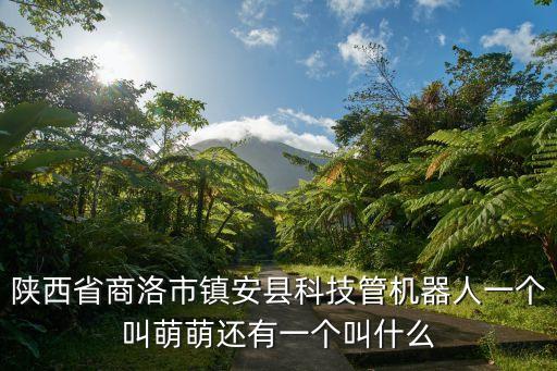 陜西省商洛市鎮(zhèn)安縣科技管機器人一個叫萌萌還有一個叫什么