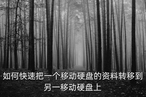 如何快速把一個移動硬盤的資料轉(zhuǎn)移到另一移動硬盤上