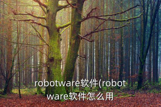 工業(yè)機(jī)器人寫字軟件,工業(yè)機(jī)器人寫字工作站怎么做?