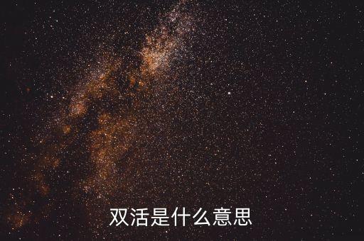 雙活是什么意思