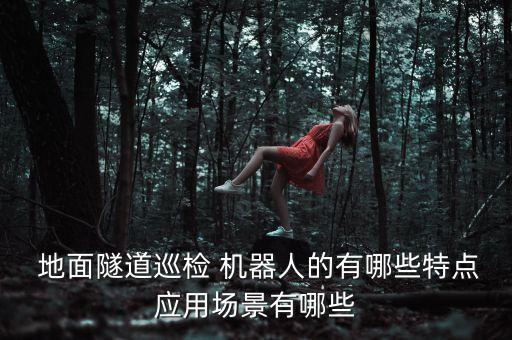  地面隧道巡檢 機(jī)器人的有哪些特點(diǎn)應(yīng)用場(chǎng)景有哪些