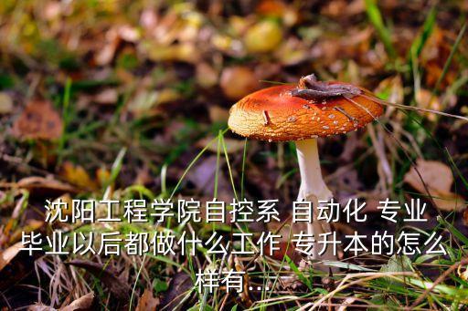  沈陽(yáng)工程學(xué)院自控系 自動(dòng)化 專業(yè)畢業(yè)以后都做什么工作 專升本的怎么樣有...