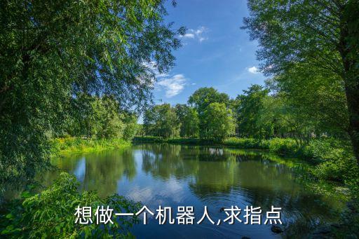 做機(jī)器人.,機(jī)器美女一鳴驚人關(guān)注機(jī)器人問(wèn)題