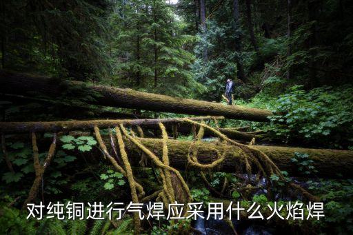 對(duì)純銅進(jìn)行氣焊應(yīng)采用什么火焰焊