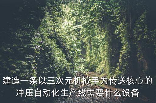 建造一條以三次元機械手為傳送核心的沖壓自動化生產(chǎn)線需要什么設(shè)備