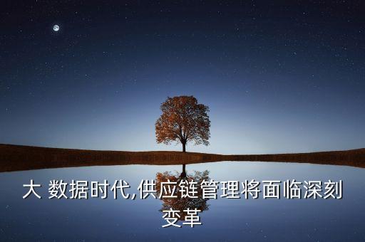 大 數(shù)據(jù)時(shí)代,供應(yīng)鏈管理將面臨深刻變革