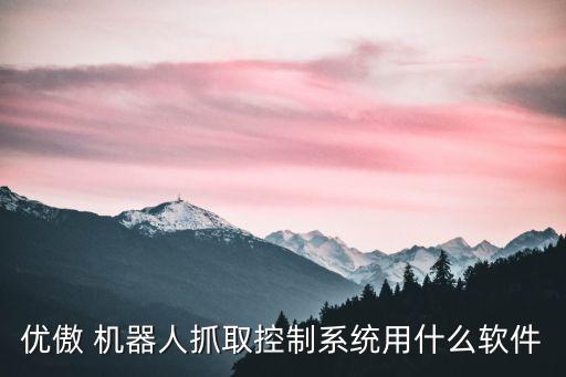 優(yōu)傲 機(jī)器人抓取控制系統(tǒng)用什么軟件