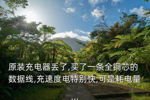 原裝充電器丟了,買了一條全銅芯的 數(shù)據(jù)線,充速度電特別快,可是耗電量...