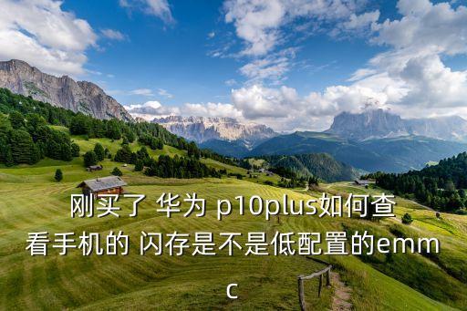 華為p10閃存看哪個(gè)數(shù)據(jù),華為P10閃存事件是怎么回事