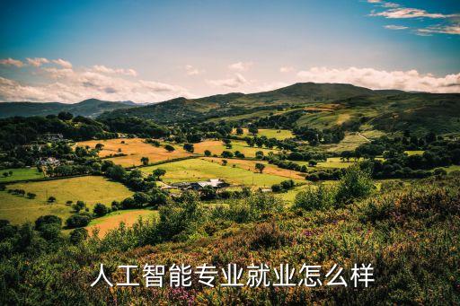  人工智能專業(yè)就業(yè)怎么樣