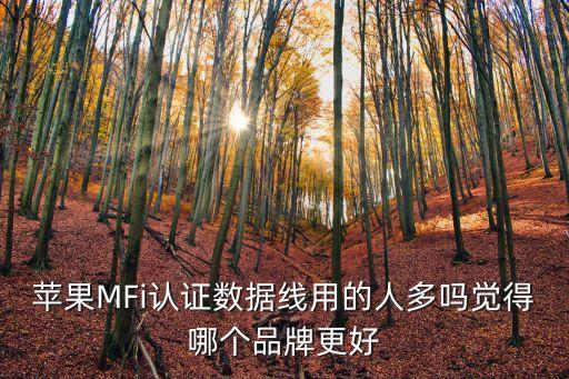 蘋果MFi認證數(shù)據(jù)線用的人多嗎覺得哪個品牌更好