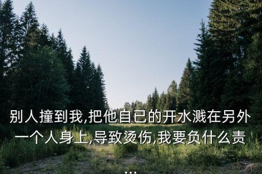 別人撞到我,把他自已的開水濺在另外一個人身上,導致燙傷,我要負什么責...
