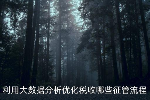 利用大數(shù)據(jù)分析優(yōu)化稅收哪些征管流程