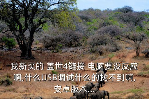 我新買的 蓋世4鏈接 電腦要沒反應(yīng)啊,什么USB調(diào)試什么的找不到啊,安卓版本...