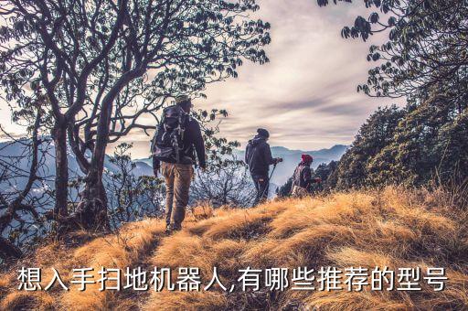 想入手掃地機(jī)器人,有哪些推薦的型號