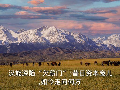  漢能深陷“欠薪門”:昔日資本寵兒,如今走向何方