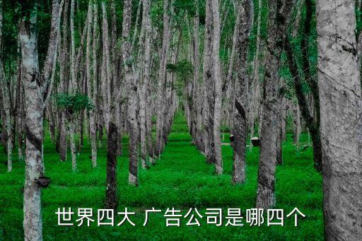 世界四大 廣告公司是哪四個
