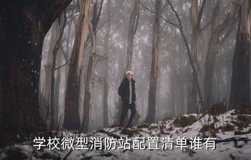 學(xué)校微型消防站配置清單誰有
