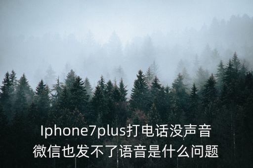 蘋果7語音與數(shù)據(jù)庫,蘋果7plus發(fā)聲音怎么辦?