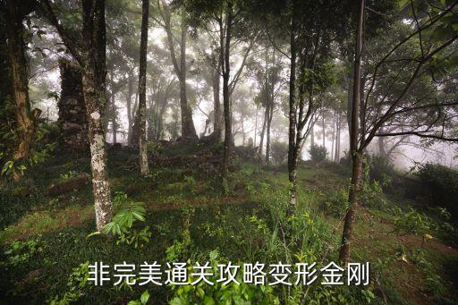 大黃蜂機(jī)器人變形步驟,大黃蜂二代怎么畫?