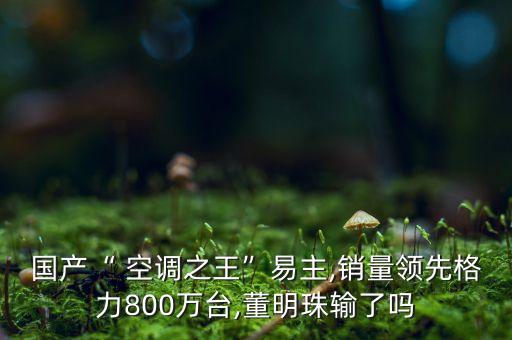 國產(chǎn)“ 空調(diào)之王”易主,銷量領(lǐng)先格力800萬臺,董明珠輸了嗎