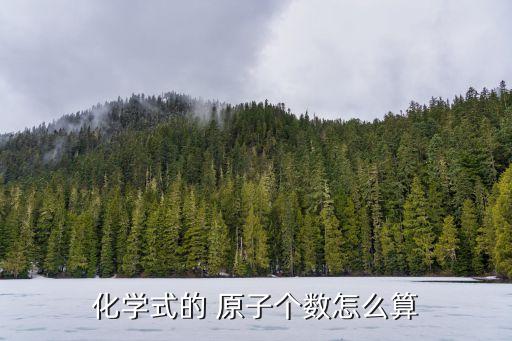 原子數(shù)