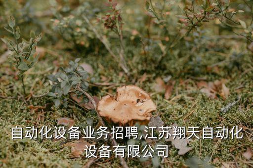 江蘇自動化設備業(yè)務招聘,江蘇翔天自動化設備有限公司