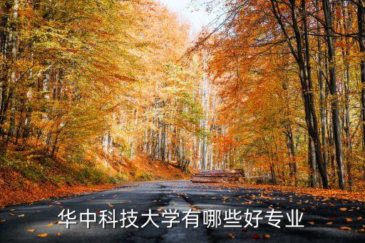 華科自動化專業(yè)學生,華中科技大學自動化專業(yè)排名出爐