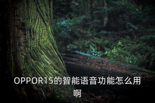 語(yǔ)音機(jī)器人怎么玩,智能語(yǔ)音機(jī)器人怎么用?