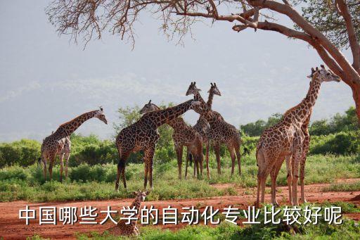 中國哪些大學的自動化專業(yè)比較好呢