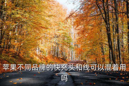 iphone數(shù)據(jù)線和充電頭,