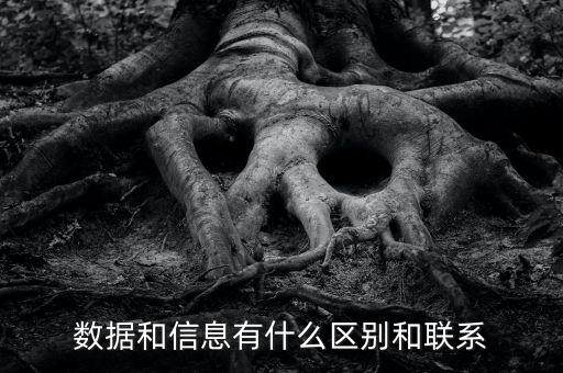 數(shù)據(jù)和信息有什么區(qū)別和聯(lián)系