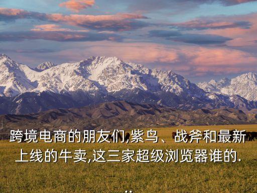 跨境電商的朋友們,紫鳥、戰(zhàn)斧和最新上線的牛賣,這三家超級瀏覽器誰的...