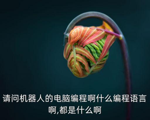 請問機器人的電腦編程啊什么編程語言啊,都是什么啊